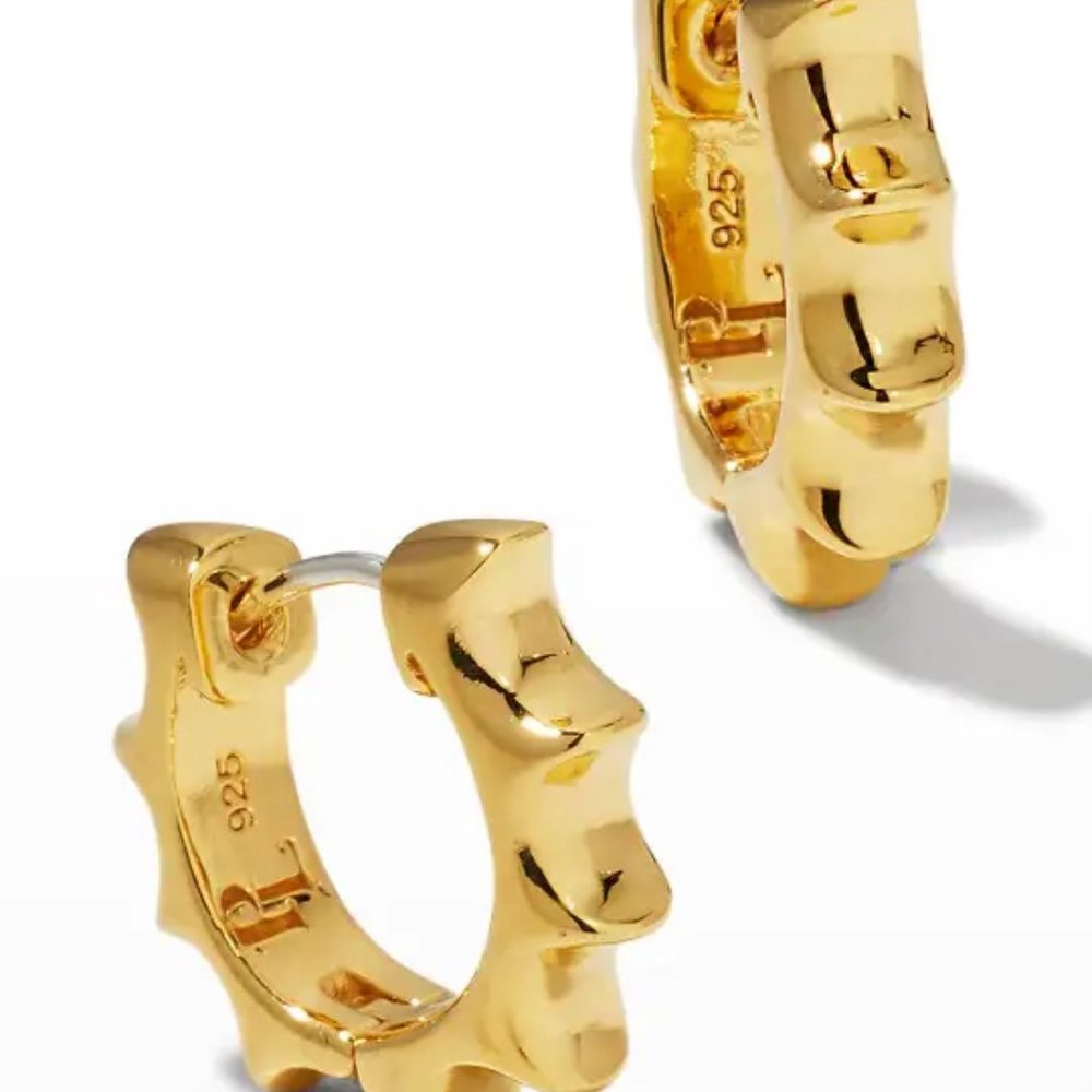 Pamela Love Sun Hoop Earrings